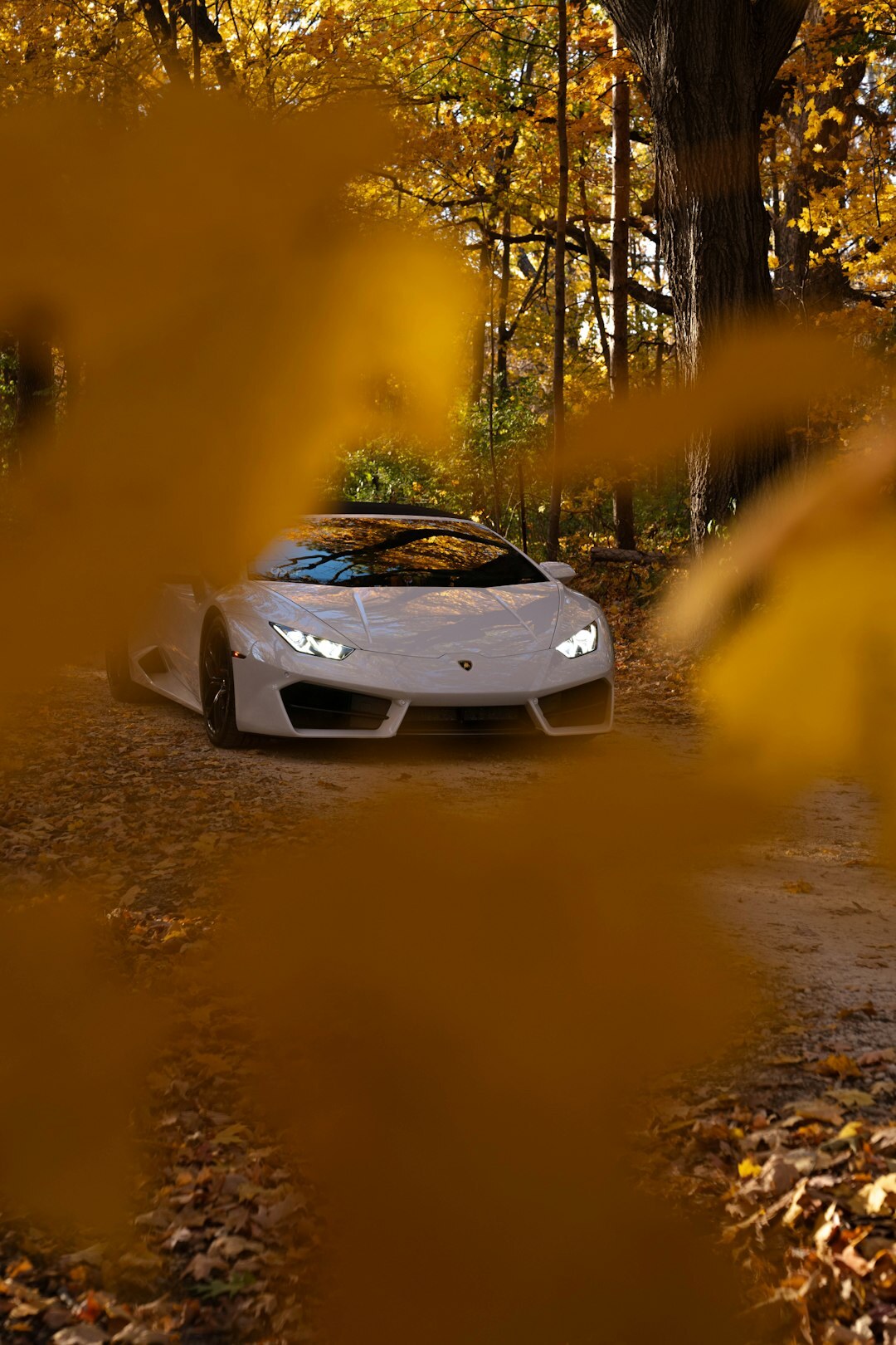 luxury sports car on road