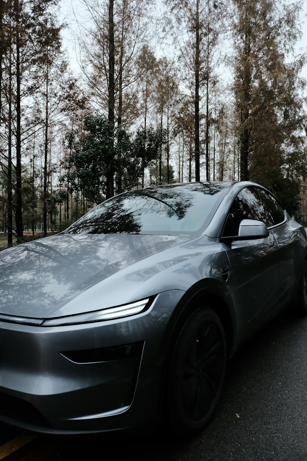 luxury electric car exterior